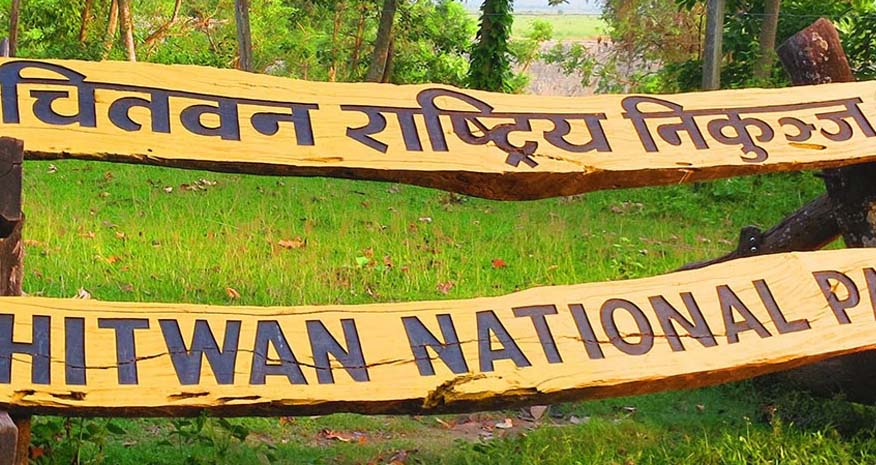 एक वर्षमा एक लाख ९० हजार बढीले चितवन राष्ट्रिय निकुञ्ज घुमे