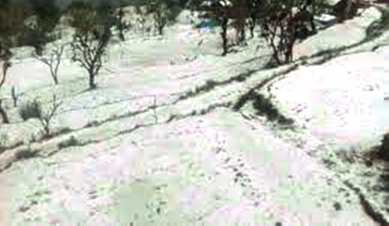 असिना पानीले किसानको बिजोग