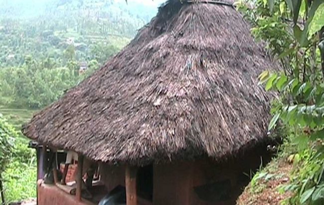 ११५ घरका खरको छाना हटाईयो