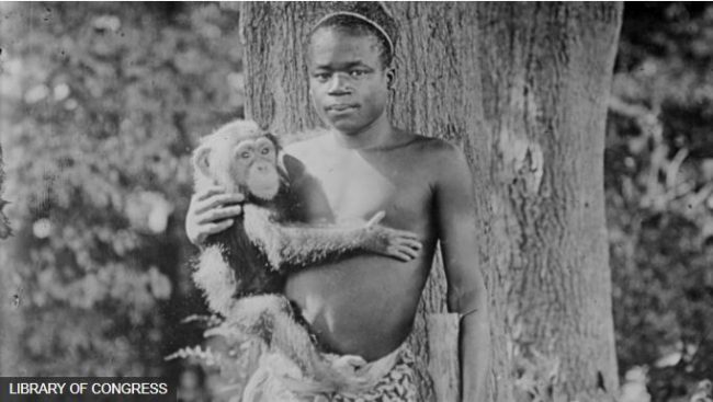 मानिसलाई बाँदरसँगै पिँजडामा राखेकोमा न्यूयोर्कको चिडियाखानाले १०० वर्षपछि माफी माग्यो