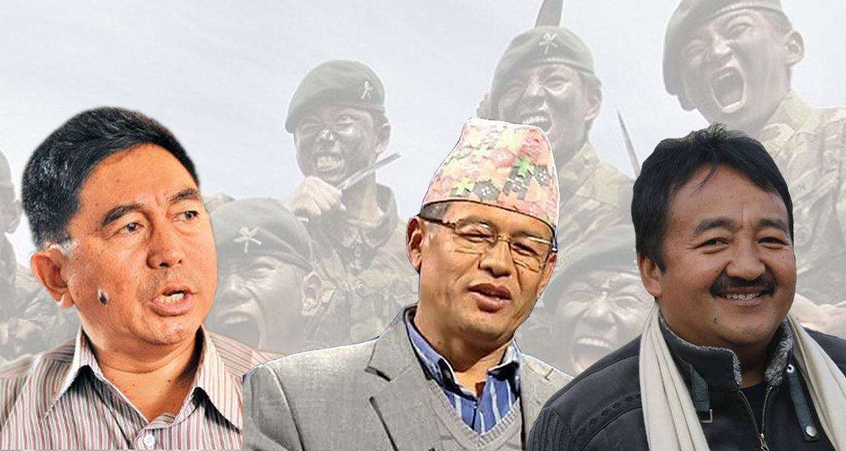 भारतीय एयरफाेर्समा नेपाली : के भन्छन् दलका नेता ?