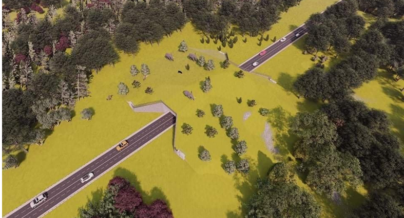 बर्दियामा वन्यजन्तुमैत्री ‘ओभरहेड ब्रिज’ बन्ने