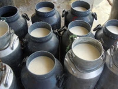 बछ्यौलीका ५० महिलाको सामूहिक प्रयास: दुग्धजन्य उद्योगबाट बन्दै आत्मनिर्भर