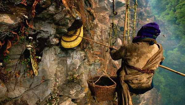 भीरमह बेचेर गाउँमा भित्रियो रु ४० लाख