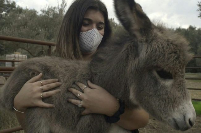 स्वास्थ्यकर्मीलाई निःशुल्क ‘गधा चिकित्सा’, गधालाई अंकमाल गर्छन् डाक्टरहरु