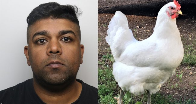 कुखुरीलाई बलात्कार गर्ने व्यक्तिलाई ३ वर्ष जेल, उनकै श्रीमतीले भिडियो खिचेकी थिइन्