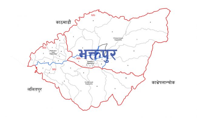 नेमकिपाका जनप्रतिनिधि नेकपामा