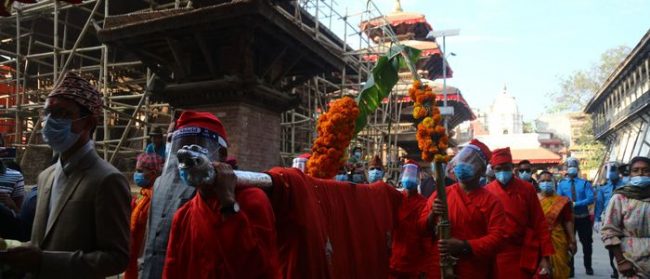 मल्लकालीन परम्परा निरन्तरता दिँदै भित्र्याइयो फूलपाती