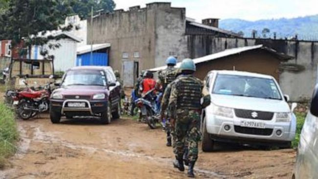 कङ्गोमा २५ आम नागरिकको हत्या