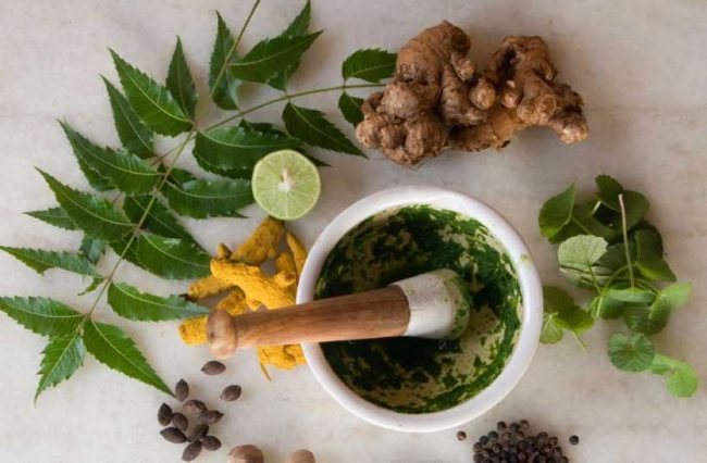 काेराेना महामारीमा आयुर्वेदिक उपचारमा आकर्षण