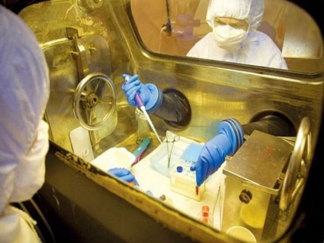 रुसले बनायो कोरोना विरुद्धको दोस्रो भ्याक्सिन, विश्वभर २ करोड ५४ लाख भन्दा धेरै निको भए