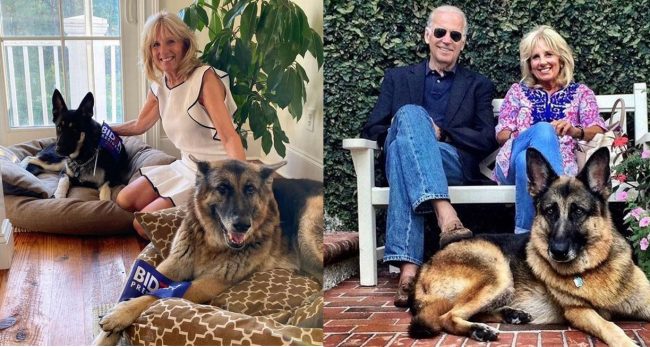 ह्वाइट हाउसमा कुकुर फर्किंदै