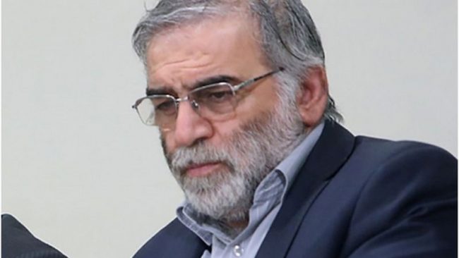 ‘इरानी परमाणु वैज्ञानिकलाई कुनै पनि मानिसले गोली हानेका थिएनन्’