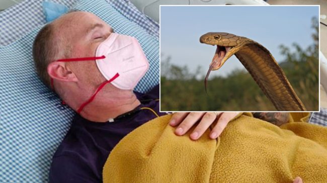 ब्याडलकको हद ! एउटै व्यक्तिलाई मलेरिया, डेंगु र कोरोना, उनैलाई कोबरा सर्पले टोक्यो