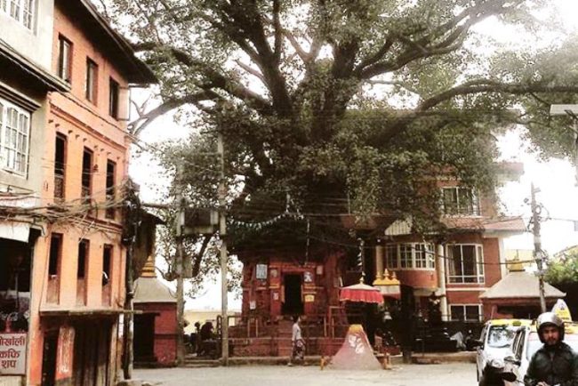 हाँडीगाउँ संस्कृति संरक्षण अक्षय कोष सञ्चालन कार्यविधि बन्ने