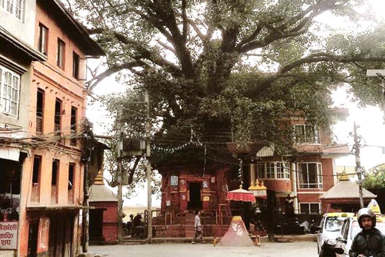 हाँडीगाउँ संस्कृति संरक्षण अक्षय कोष सञ्चालन कार्यविधि बन्ने