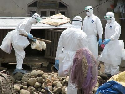 काभ्रेमा ‘बर्डफ्लु’को जोखिम हुन नदिन उच्च सतर्कता