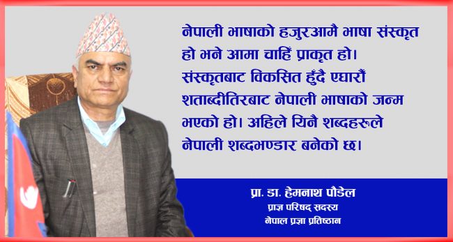 आफ्नो भाषालाई शुद्ध लेख्न सकिएन भने हाम्रो मौलिकता  सिद्धिन्छ [अन्तर्वार्ता]