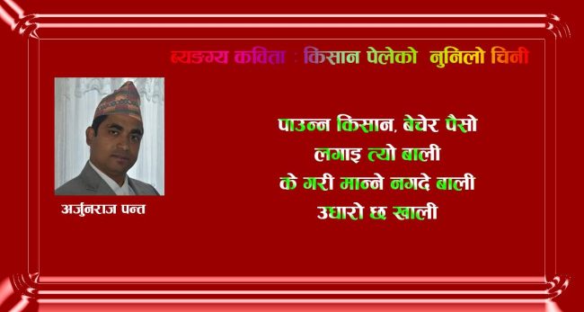 ब्यङग्य कविता : किसान पेलेको नुनिलो चिनी