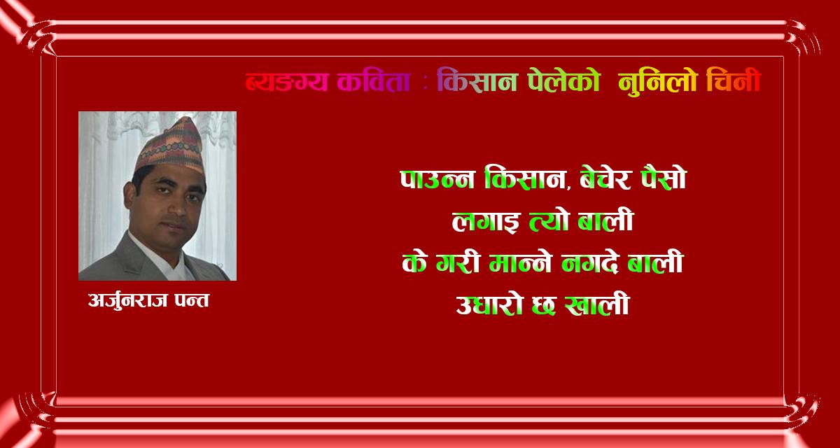 ब्यङग्य कविता : किसान पेलेको नुनिलो चिनी