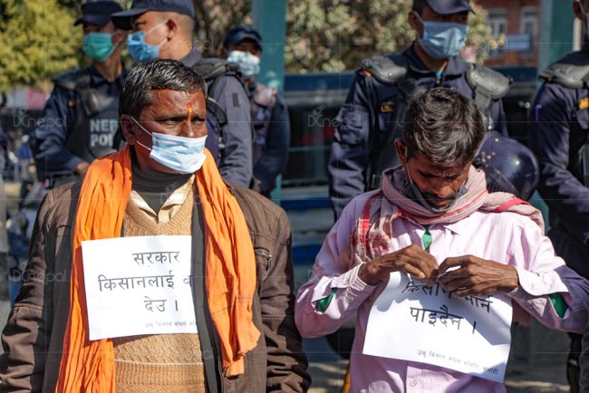 आन्दोलन गर्न फेरि काठमाडौं आइपुगे उखु किसानहरु [फोटो फिचर]