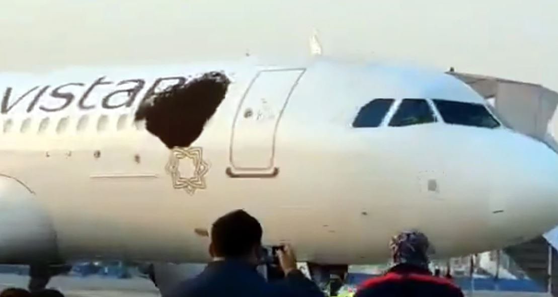 कोलकाता विमानस्थलमा विमानमाथि मौरीको भीषण आक्रमण