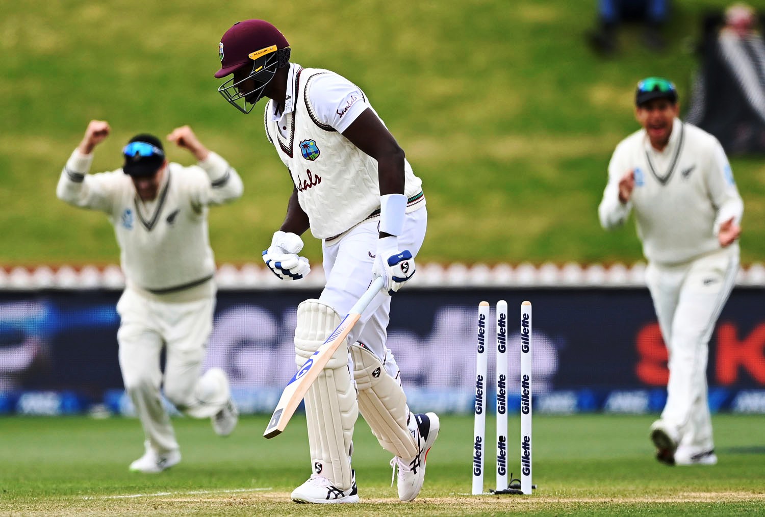 न्यूजील्यान्डलाई टेस्ट श्रृङ्खला