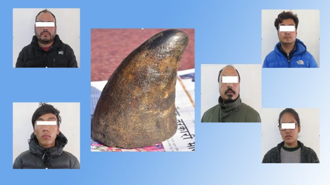 गैँडाको खाग सहित पाँच जना पक्राउ