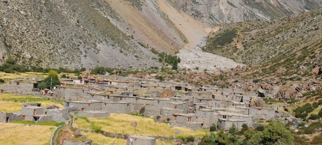 लिमी पर्यटन गाउँमा छनोट