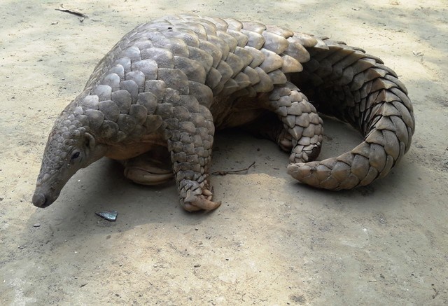 सालकसहित मोटरसाइकल नियन्त्रणमा