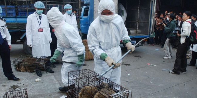 चीनको वुहानमा कोरोना भाइरसको उत्पत्तिबारे डब्लुएचओले अनुसन्धान गर्ने