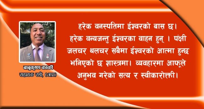 नयाँ साथीहरुलाई स्वर्गमा स्वागत