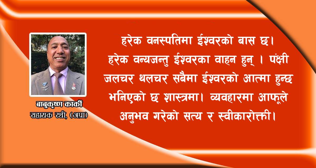 नयाँ साथीहरुलाई स्वर्गमा स्वागत