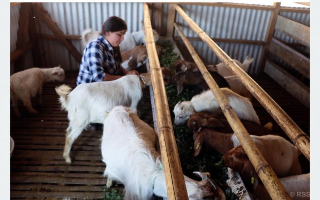 अष्ट्रेलिया छाडेर आएकी कुसुमको गाउँमै फस्टायोे कृषिकर्म