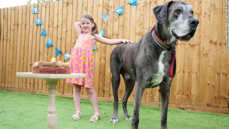 विश्वको सबैभन्दा अग्लो कुकुरको मृत्यु