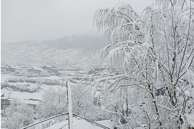 कर्णालीका हिमाली जिल्लामा हिमपात, जेठमा पाक्ने बालीलाई फाइदा
