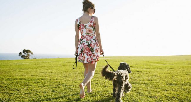 श्रीमानलाई घाँटीमा डोरी बाँधेर कुकुरजस्तै डोर्याउँदै हिँडेकी महिला पक्राउ