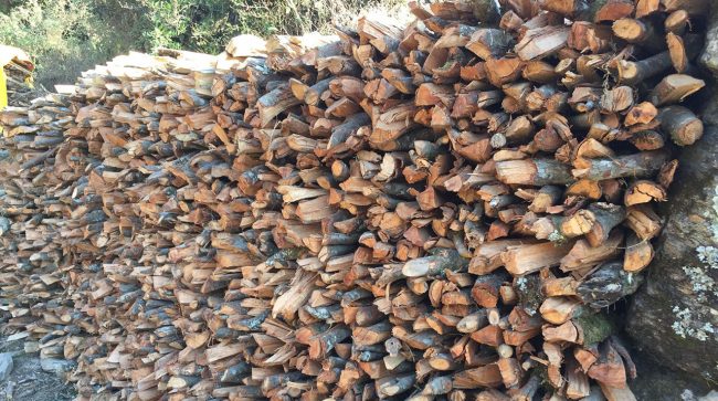 ज्येष्ठ नागरिकलाई दाउरा वितरण