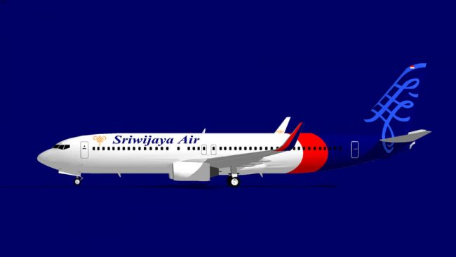 ५० जनाभन्दा धेरै यात्रु बोकेको विमान बेपत्ता