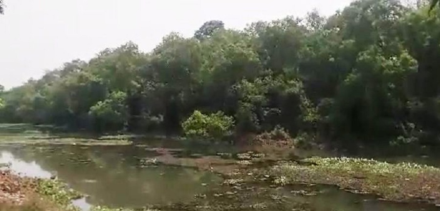 कञ्चनपुरको प्यारातालमा भारतीय दाबी