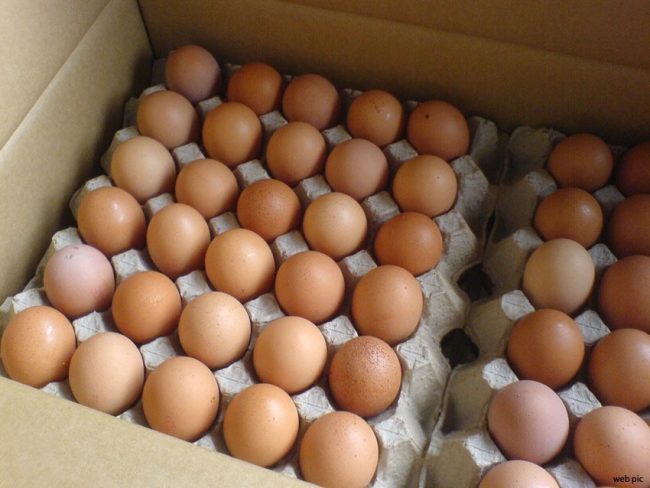 घरदैलोमा अण्डा पुर्‍याउँदै किसान दाना उद्योग