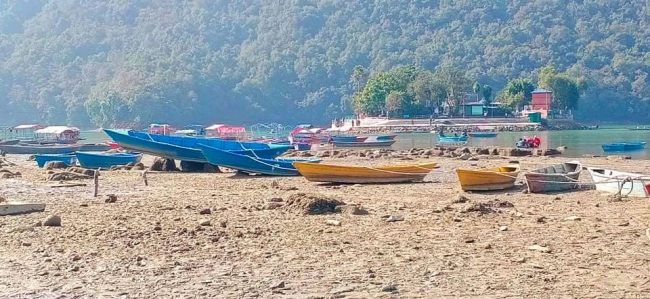 बाँध मर्मतको लागि ४२ वर्षपछि घटाइयो फेवातालको पानी