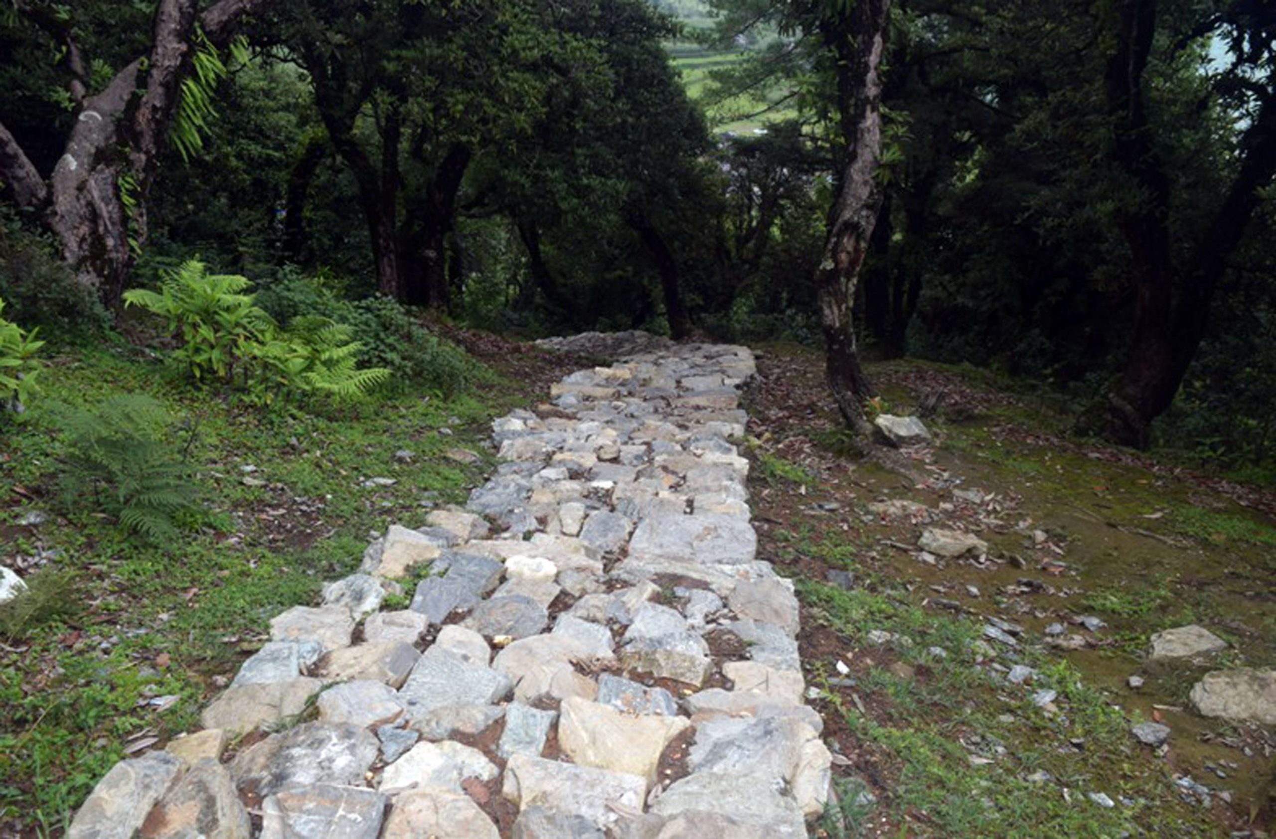 पर्यटकीयस्थल मालिका धुरी जोड्ने पदमार्ग निर्माण