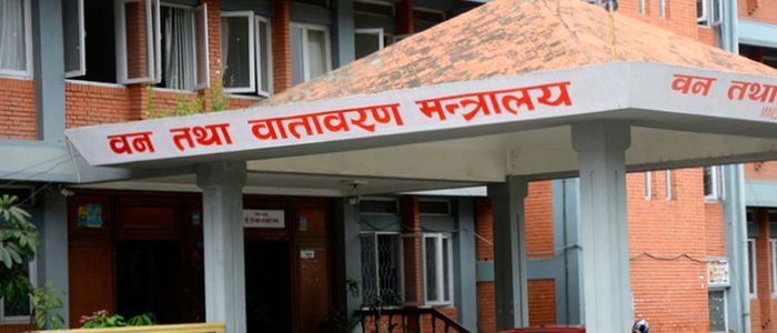 वन निगममा ‘सिइओ’ नियुक्ति प्रक्रिया अन्तिम चरणमा