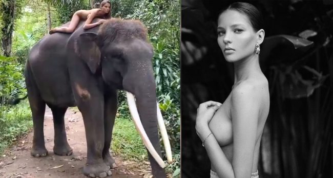 दुर्लभ हात्तीमाथि नग्न फोटो खिचाएकोमा टेनिस स्टारकी छोरीले माफी मागिन्