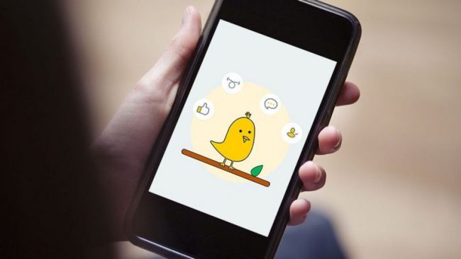 भारतमा ट्विटरलाई चुनौती दिन तम्सिएको ‘पहेँलो चरा’