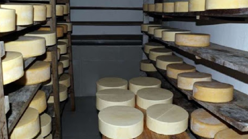 चन्दनबारी केन्द्रले चिज उत्पादन घटायो