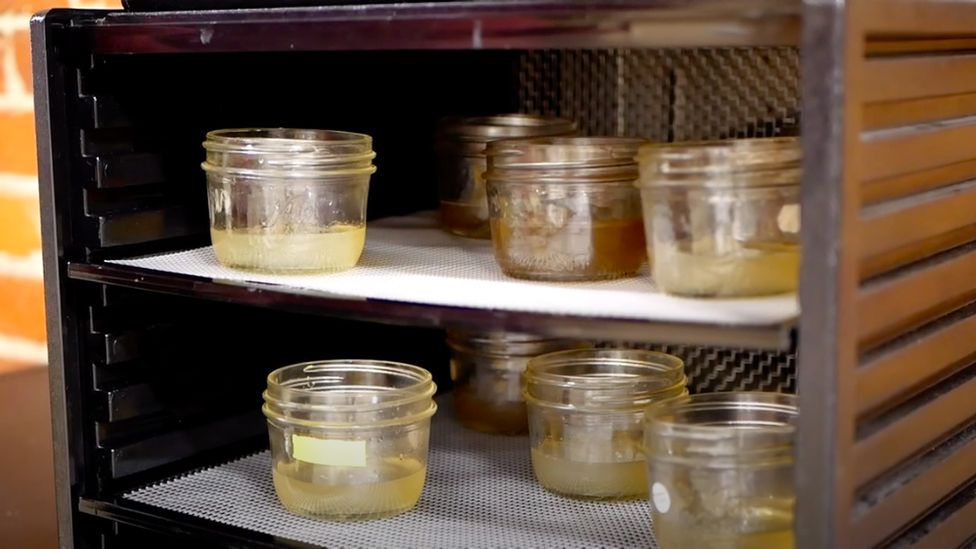 मौरीबिना मह, गाई–भैंसी नभइ दुध उत्पादन