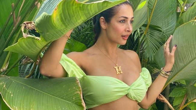 रेष्टुरेन्टको बाथरुम गएकी मलाइकाले बाहिर निस्किँदा पाइन्ट माथि तान्न बिर्सिएपछि…