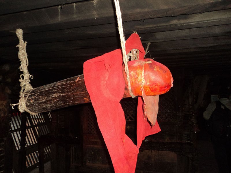 भक्तपुरमा मनाइयो फरक ढङ्गले होली